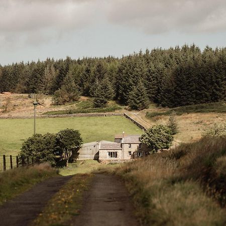 Gibshiel Farm Bed And Breakfast Greenhaugh Eksteriør bilde